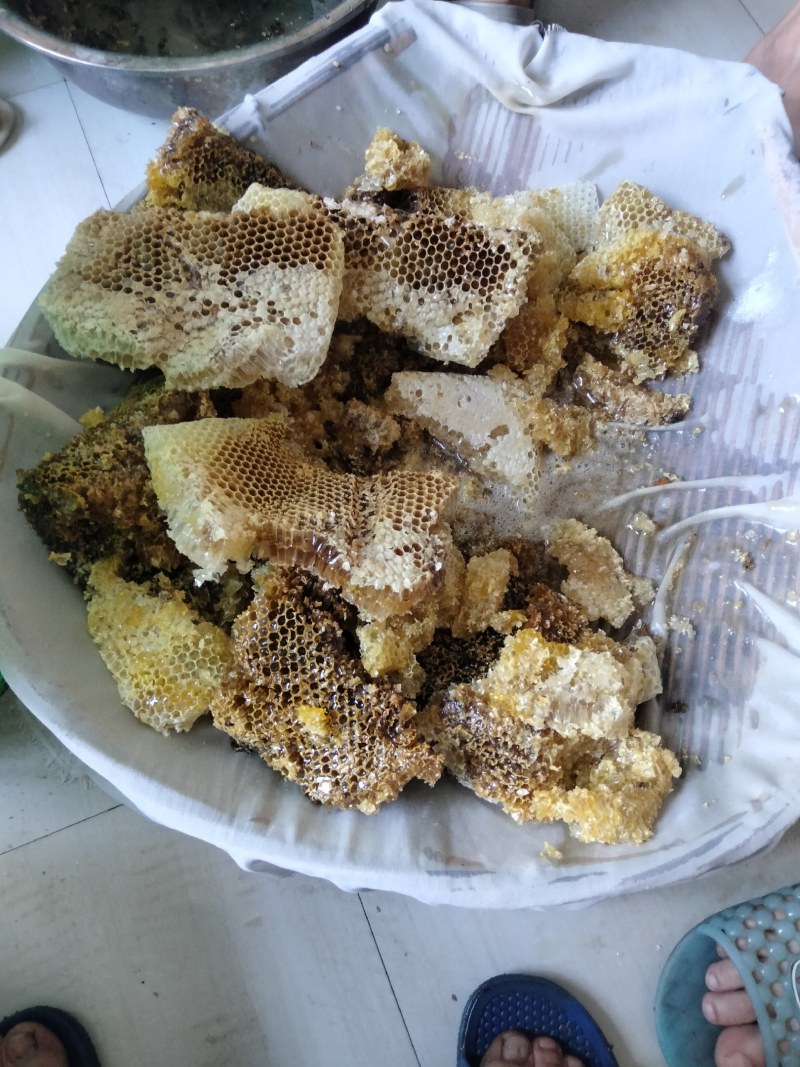 纯正野生土蜂蜜百花蜜野生蜂蜜双十一特惠