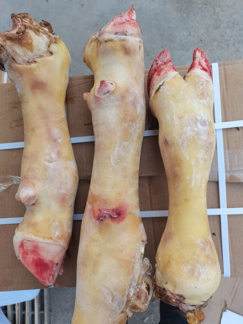 牛蹄，火烧去毛牛蹄，干净好牛蹄，欢迎各位选购
