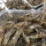 小河虾，小土虾，青虾，活冻品质，自然生态补捞，产地，广东