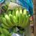 【精品批发】香蕉，苹果香蕉，巴西香蕉粉蕉口感好产地直供