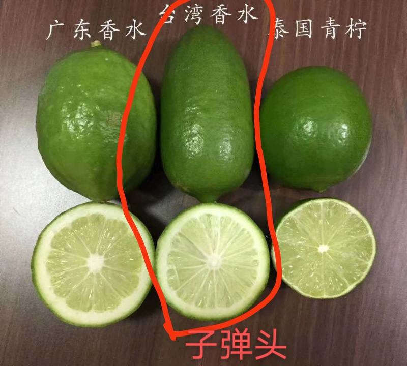 子弹头