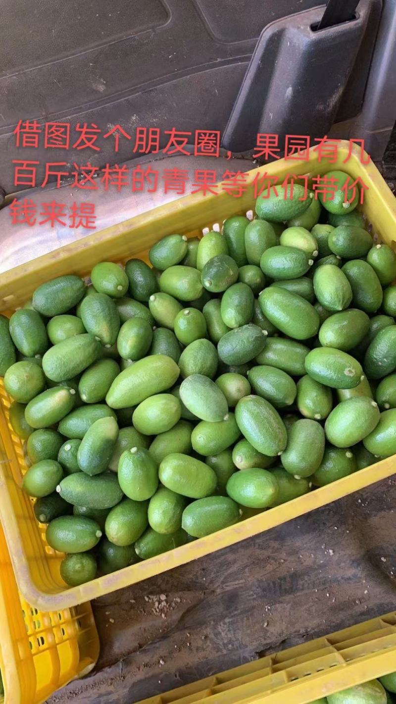 子弹头