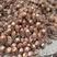 金华永康新鲜红芽芋，基地供货，现挖现发，量大从优，质优