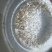泥鳅水花苗台湾泥鳅水花苗小泥鳅苗泥鳅孵化苗台湾大泥鳅种才