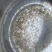泥鳅水花苗台湾泥鳅水花苗小泥鳅苗泥鳅孵化苗台湾大泥鳅种才