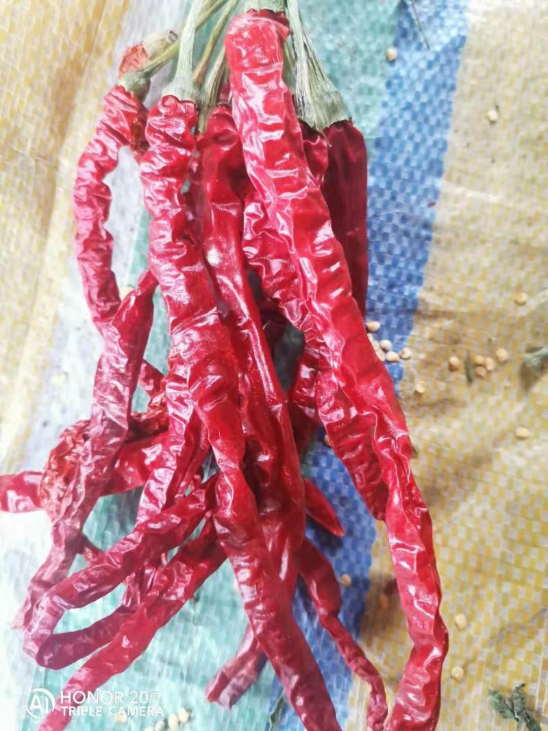 贵州本地区优质长辣椒细长线椒干货辣味香浓皮