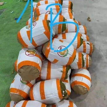 工厂直发越南红心菠萝蜜一件代发新鲜热带水果