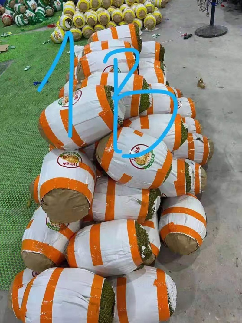 工厂直发越南红心菠萝蜜一件代发新鲜热带水果