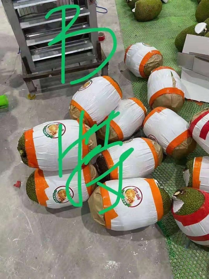 工厂直发越南红心菠萝蜜一件代发新鲜热带水果