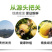 贵州特产野生刺梨鲜果天然维C现摘茶泡茶泡酒直销包邮