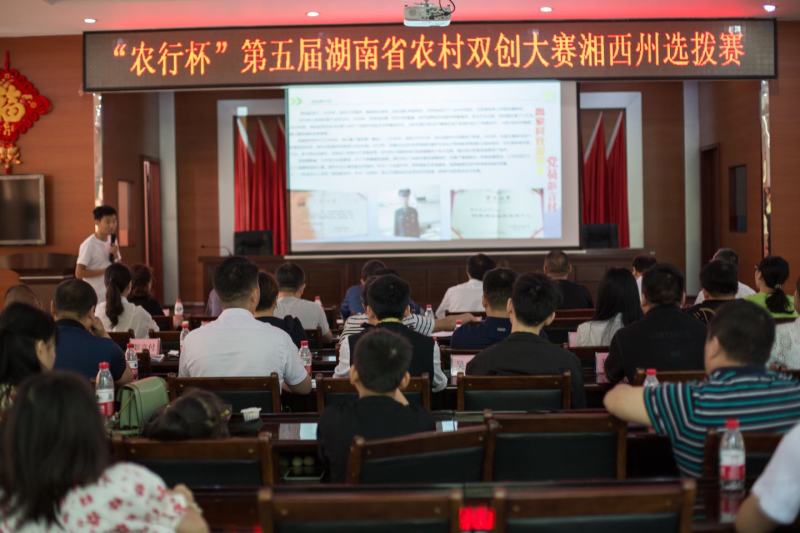 莓茶藤茶古茶钩藤自产自销回甘快且持久
