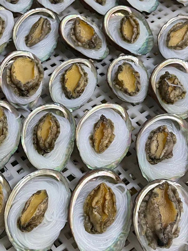 鲍鱼粉丝贝100个/件
