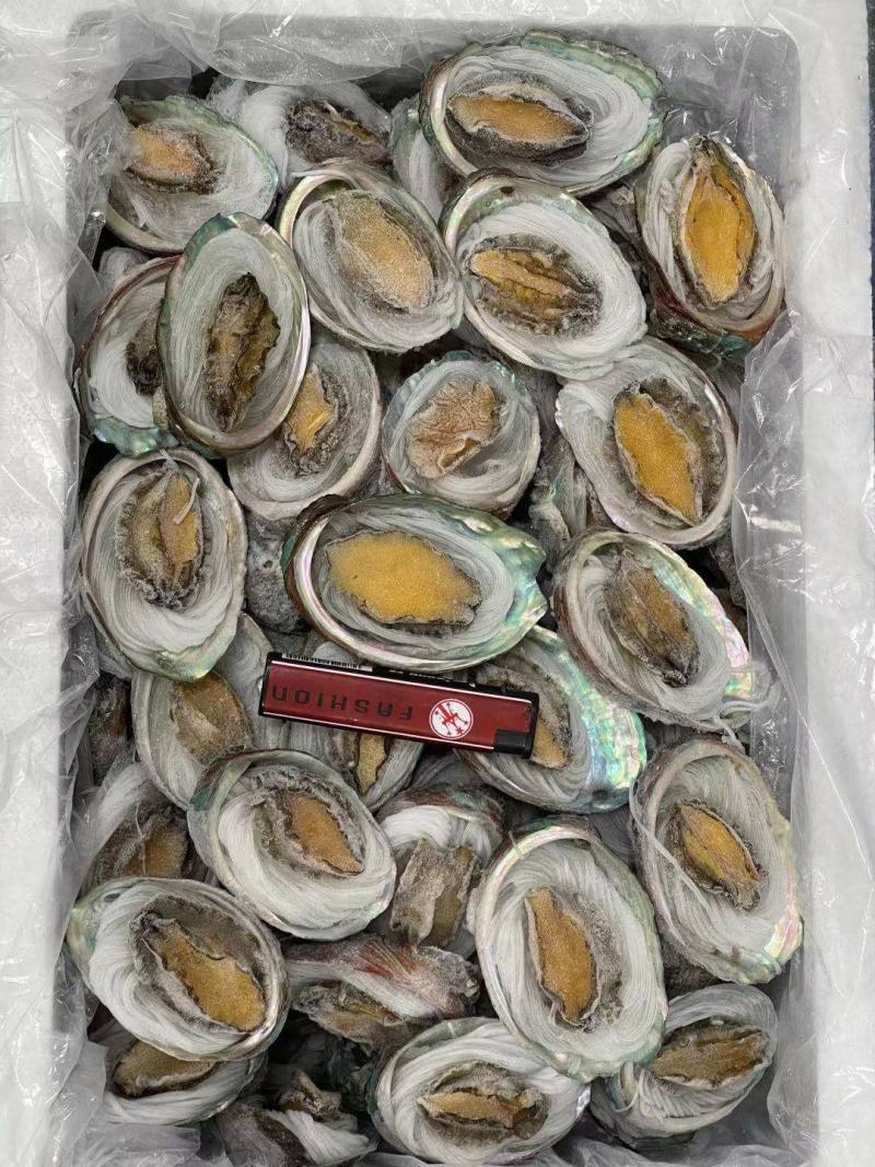 鲍鱼粉丝贝100个/件