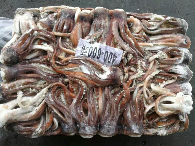 鱿鱼头船冻3.9万元/吨