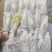 鲜鱿陆冻鱿20/25
