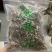 鹿茸菇新货烤干一箱净重10斤