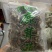 鹿茸菇新货烤干一箱净重10斤