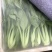 万亩蔬菜基地长期供应各种蔬菜食堂菜欢迎咨询
