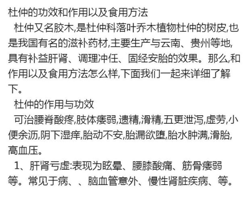 杜仲苗，中药材南北方都可以种植，耐寒，抗旱，种植方便，成