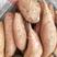 烟薯25新鲜上市丘陵沙地种植支持全国发货甜度高口感好