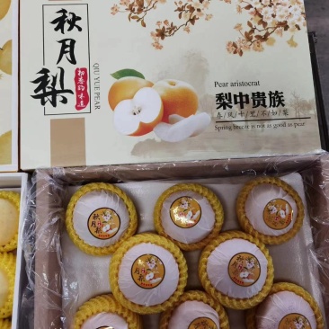莱阳秋月梨梨秋月梨5两到1斤单规格供应底糖12以上