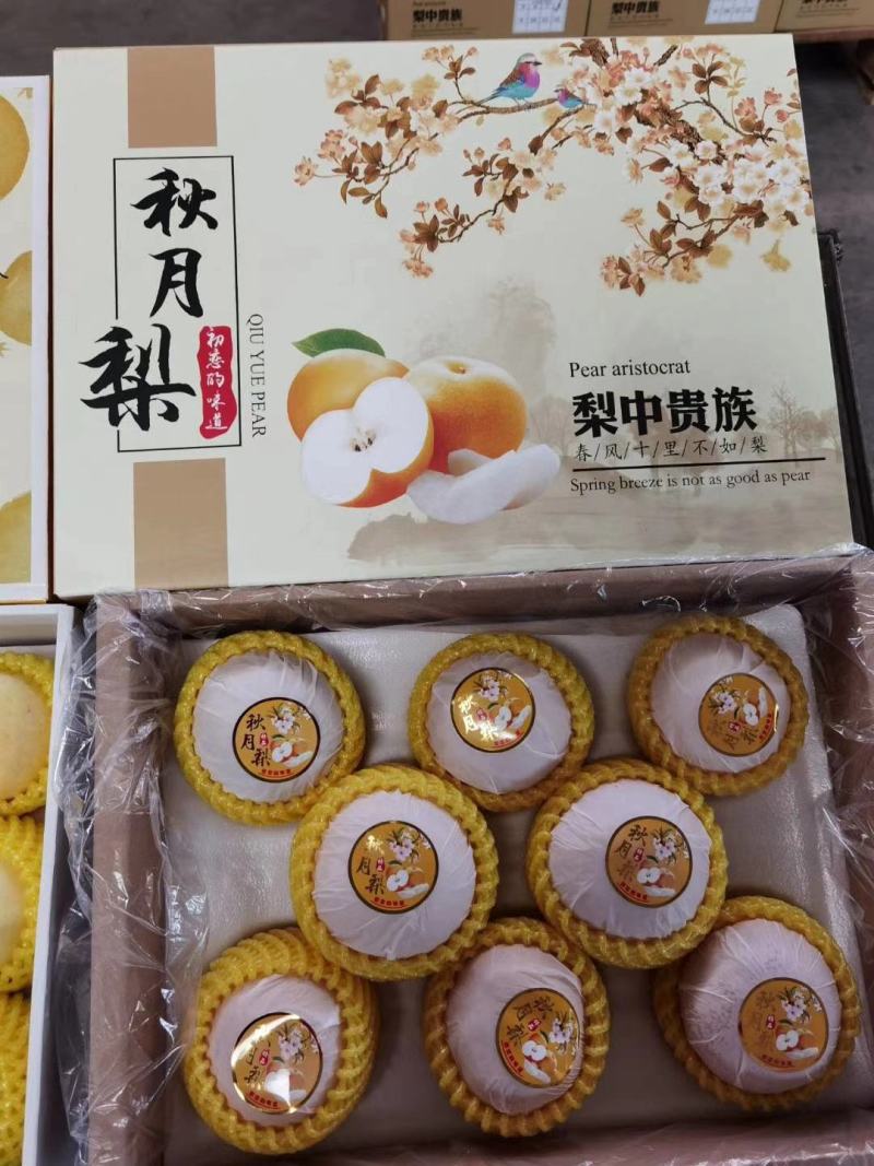 莱阳秋月梨梨秋月梨5两到1斤单规格供应底糖12以上