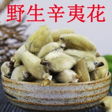 野生中药辛夷批发中药材辛夷花毛桃望春花玉兰花产地直发包邮