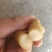 干玉竹条
