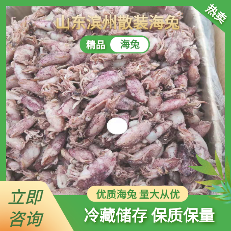 海兔，煮熟晒干，7成干左右，19斤起批不包邮