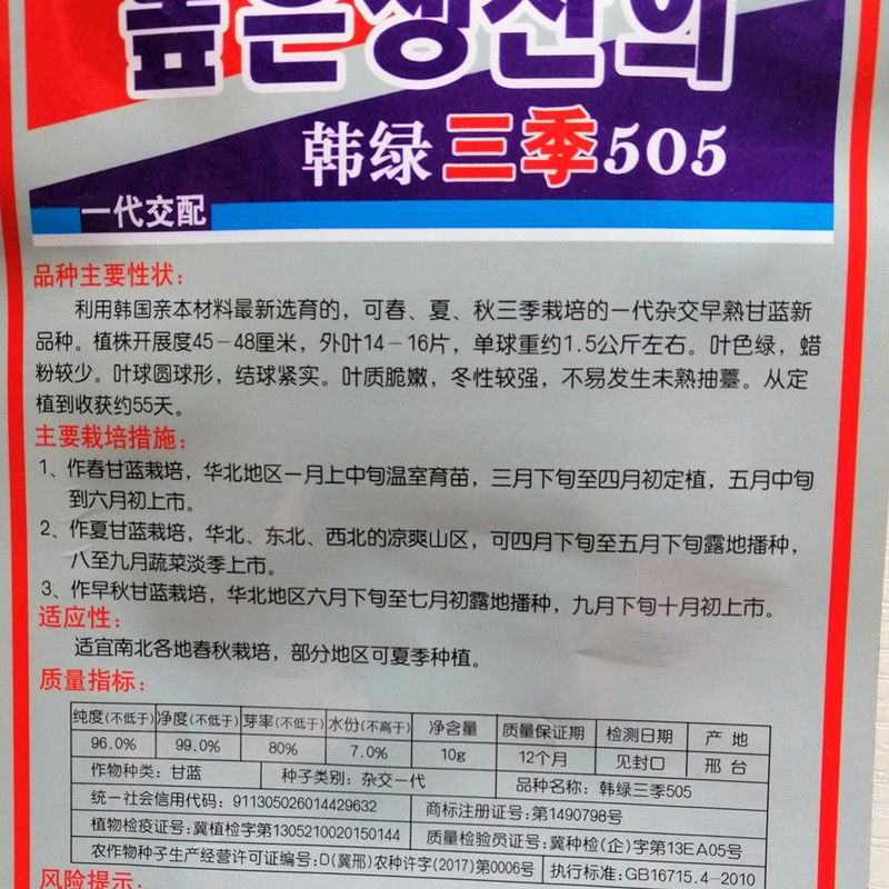 韩绿三季505一代杂交新品种早熟甘蓝种子春夏秋种子