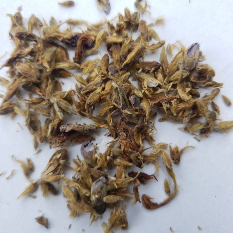 葛花