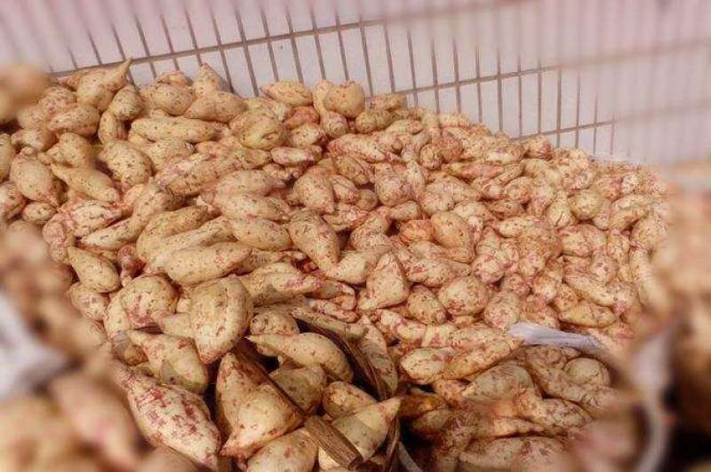 红薯粉条，保证正品质量，霜降冬天才有货，售后无忧