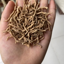 远志批发产地直销无硫熏蒸远志节子