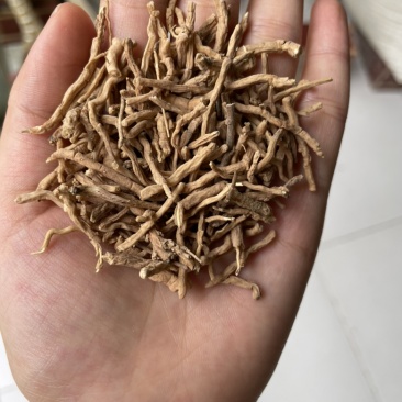 远志批发产地直销无硫熏蒸远志节子