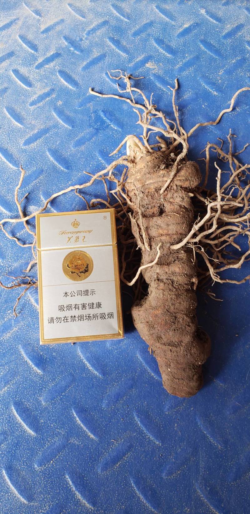 正规货源随时有货规格齐全重楼新鲜批发品质保证