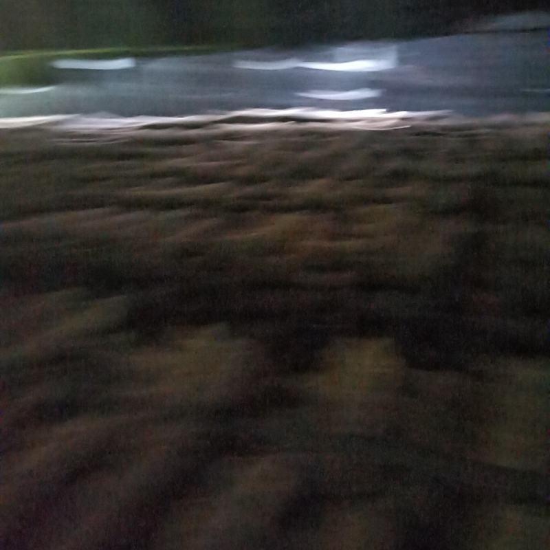 大别山香菇菌棒