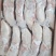 一级白条鸭1050-1500克