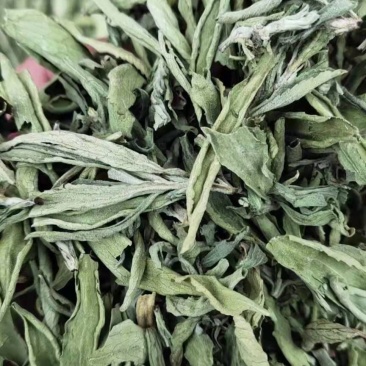 甜叶菊甜菊叶花茶甜叶菊茶天然甜味叶子花草茶