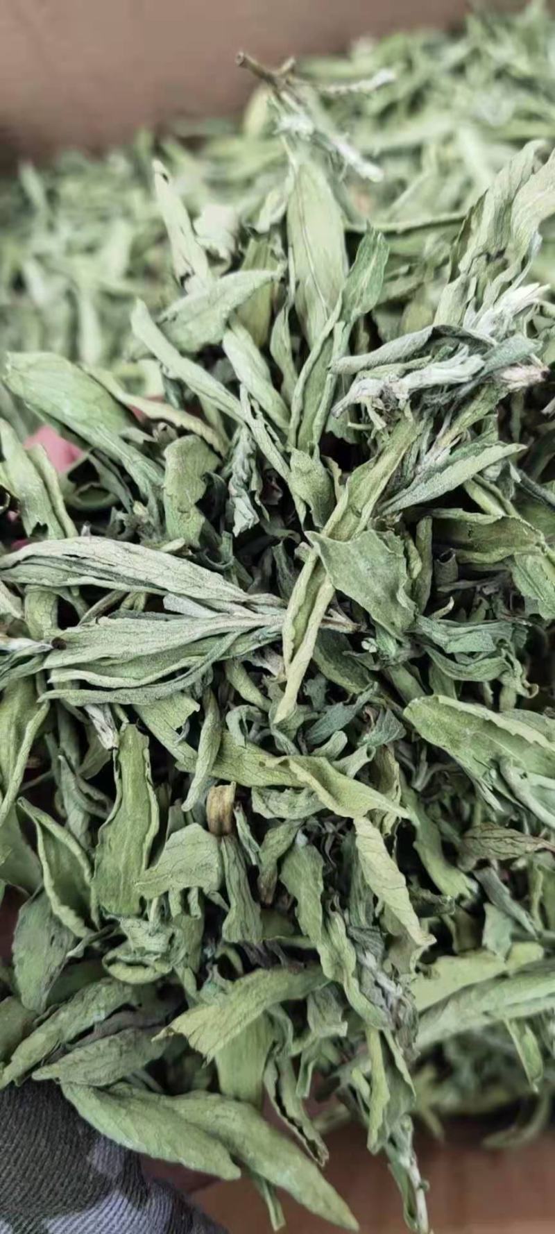甜叶菊甜菊叶花茶甜叶菊茶天然甜味叶子花草茶