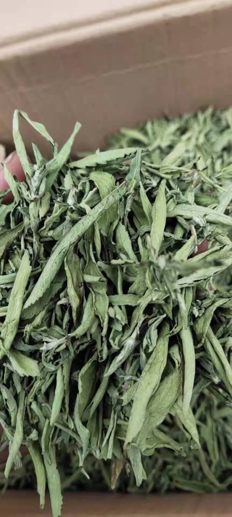 甜叶菊甜菊叶花茶甜叶菊茶天然甜味叶子花草茶