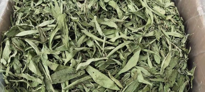 甜叶菊甜菊叶花茶甜叶菊茶天然甜味叶子花草茶