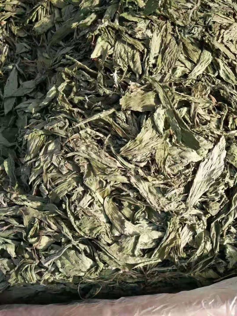 甜叶菊甜菊叶花茶甜叶菊茶天然甜味叶子花草茶