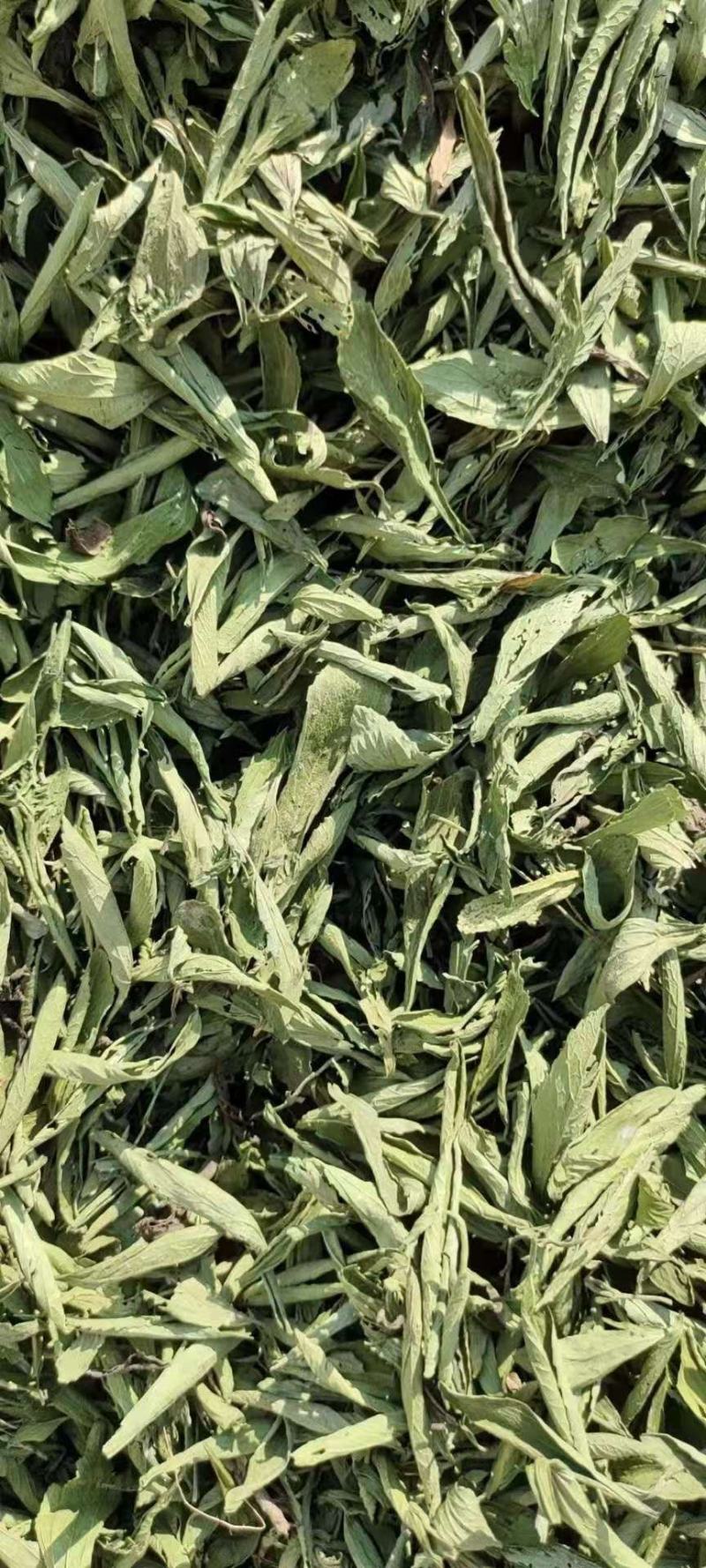 甜叶菊甜菊叶花茶甜叶菊茶天然甜味叶子花草茶