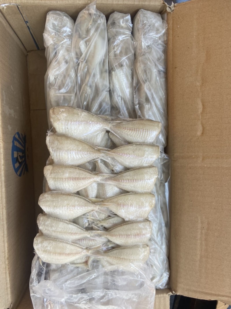 【玻璃鱼】可长期供货，火锅专属，一手货源，量大从优