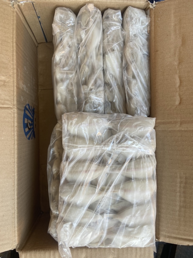 【玻璃鱼】可长期供货，火锅专属，一手货源，量大从优