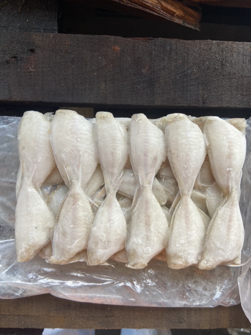 【玻璃鱼】可长期供货，火锅专属，一手货源，量大从优