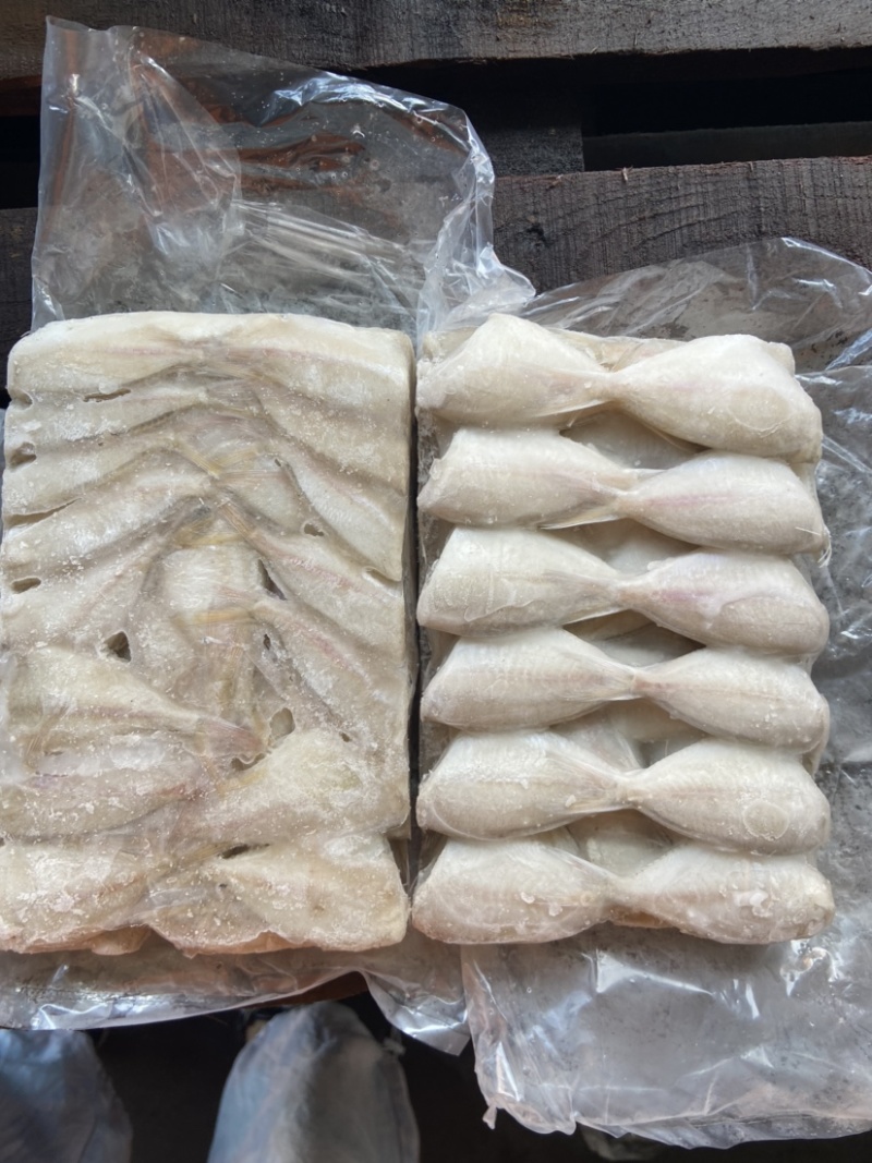 【玻璃鱼】可长期供货，火锅专属，一手货源，量大从优