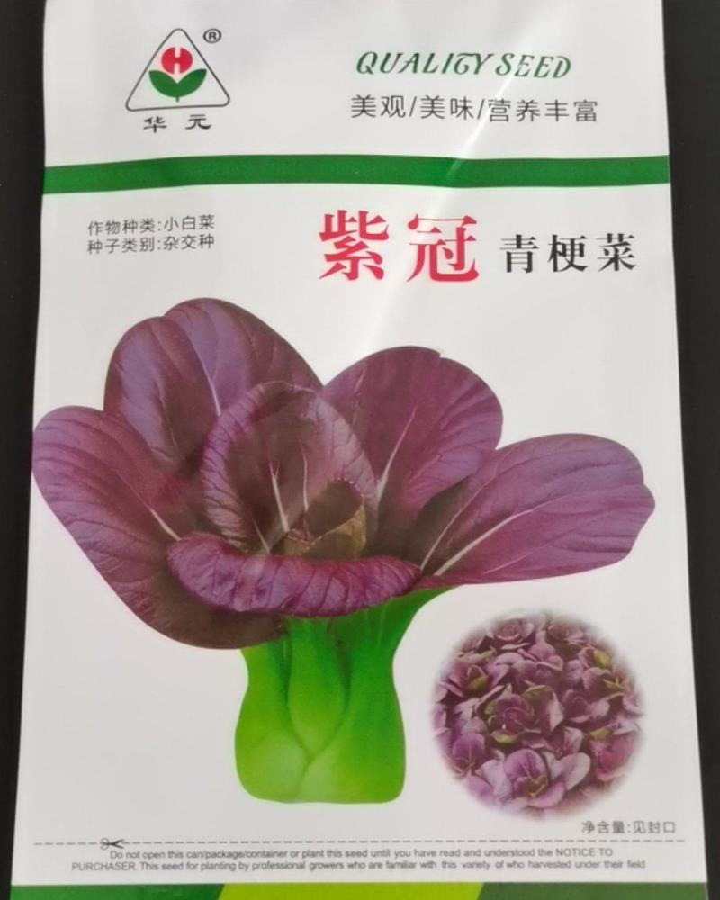 青梗菜种子