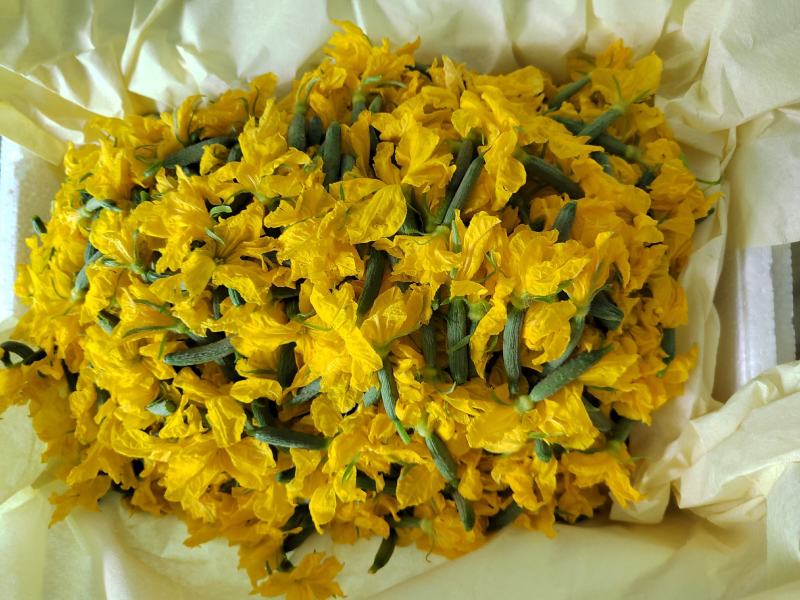 特色小黄瓜花