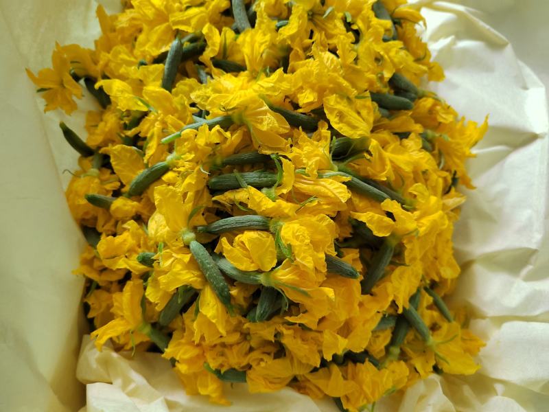 特色小黄瓜花